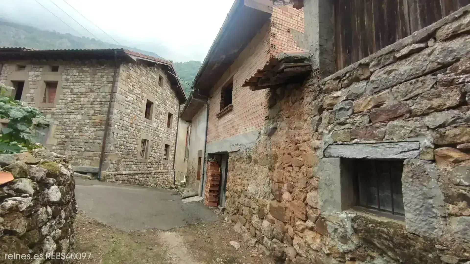 Vista exterior de Casa o xalet en venda en Peñamellera Alta amb Calefacció, Jardí privat i Terrassa