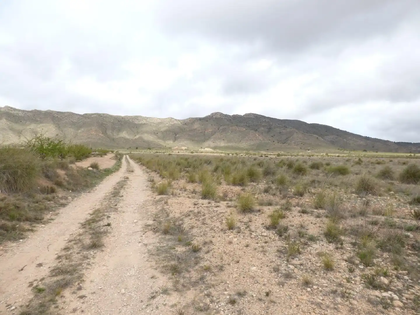 Rustikales Grundstück zum Verkauf in Jumilla, imagen 3