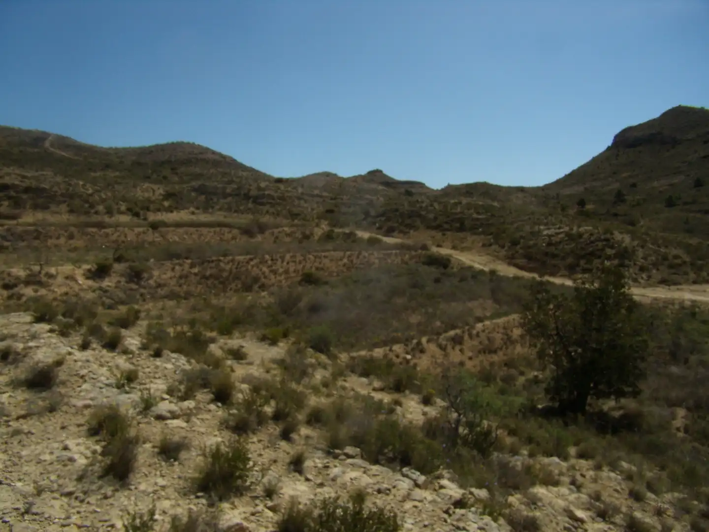 Terreno rustico in vendita a Partida Tossal Redó, imagen 12