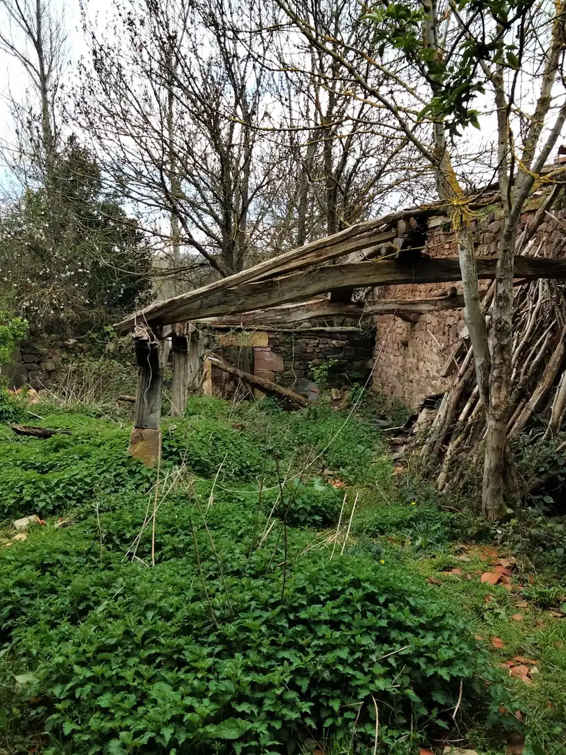 Garden of Houses for sale in Valdeolea