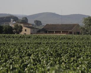 Vista exterior de Finca rústica en venda en Castellet i la Gornal