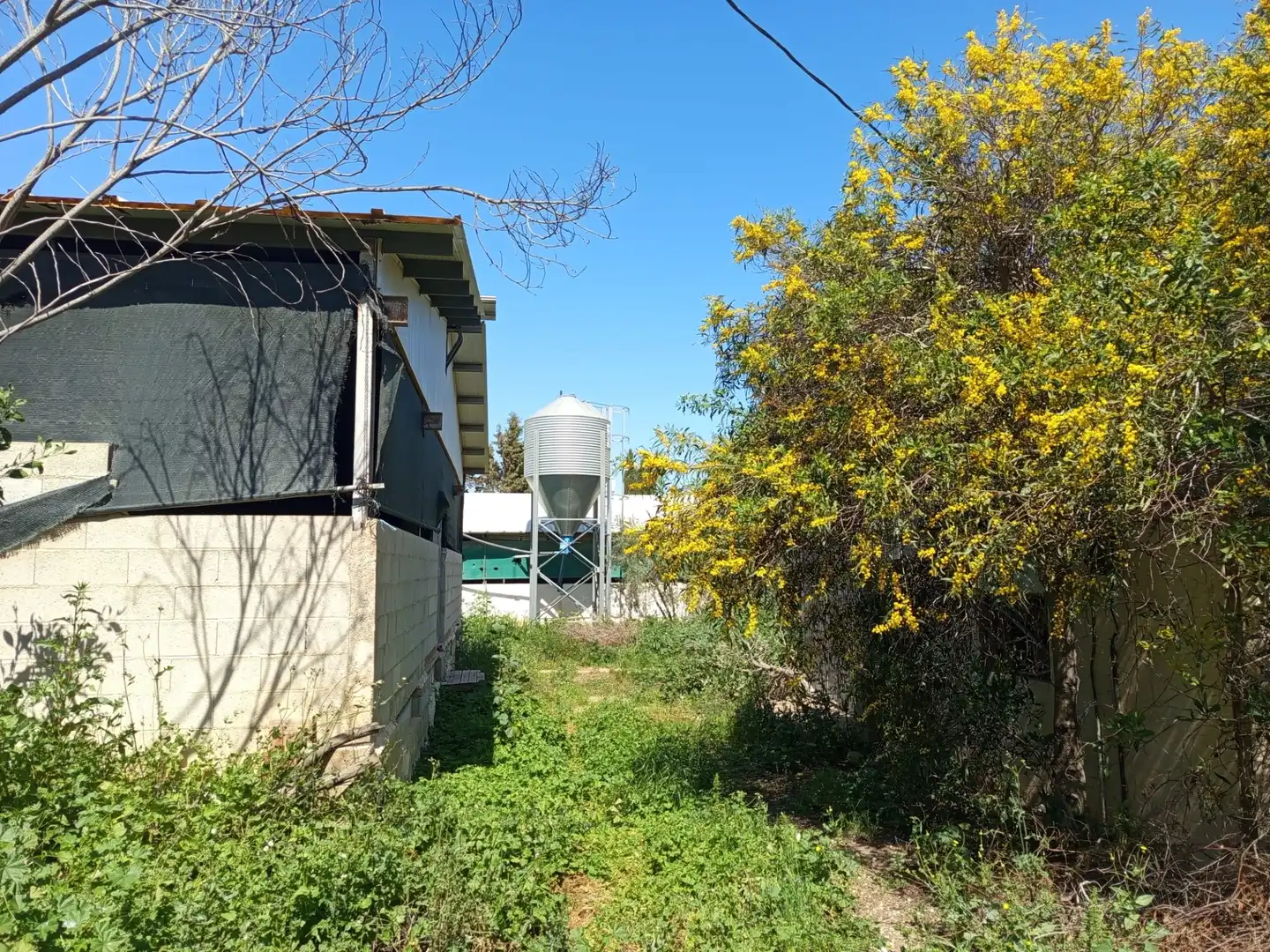 Vista exterior de Nave industrial en venta en Fuente Álamo de Murcia
