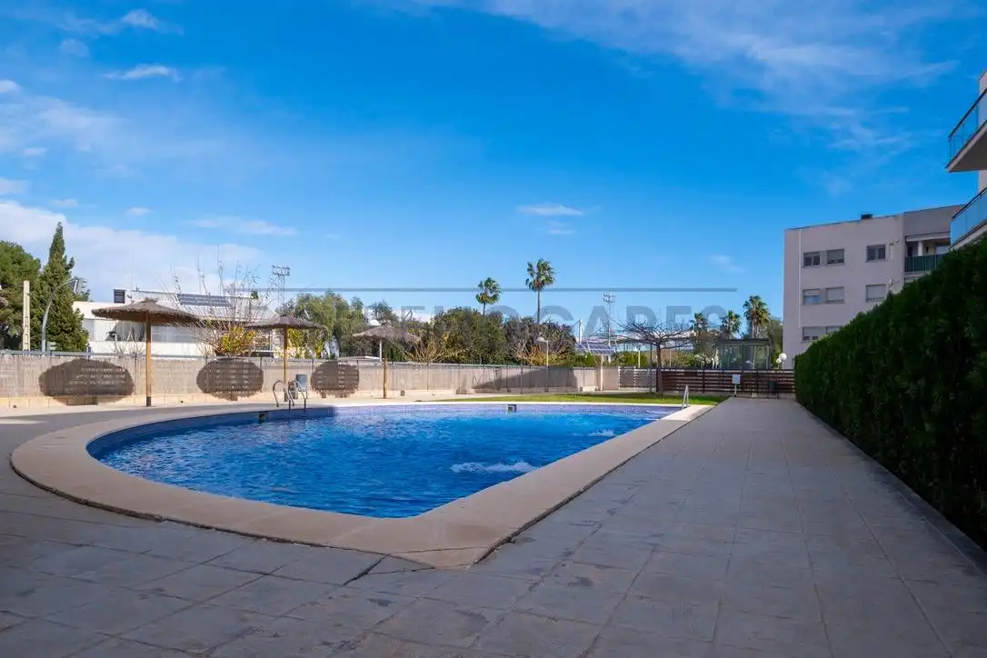 Swimming pool of Apartments for rent in Alfara del Patriarca  with Air Conditioner, Heating and Private garden