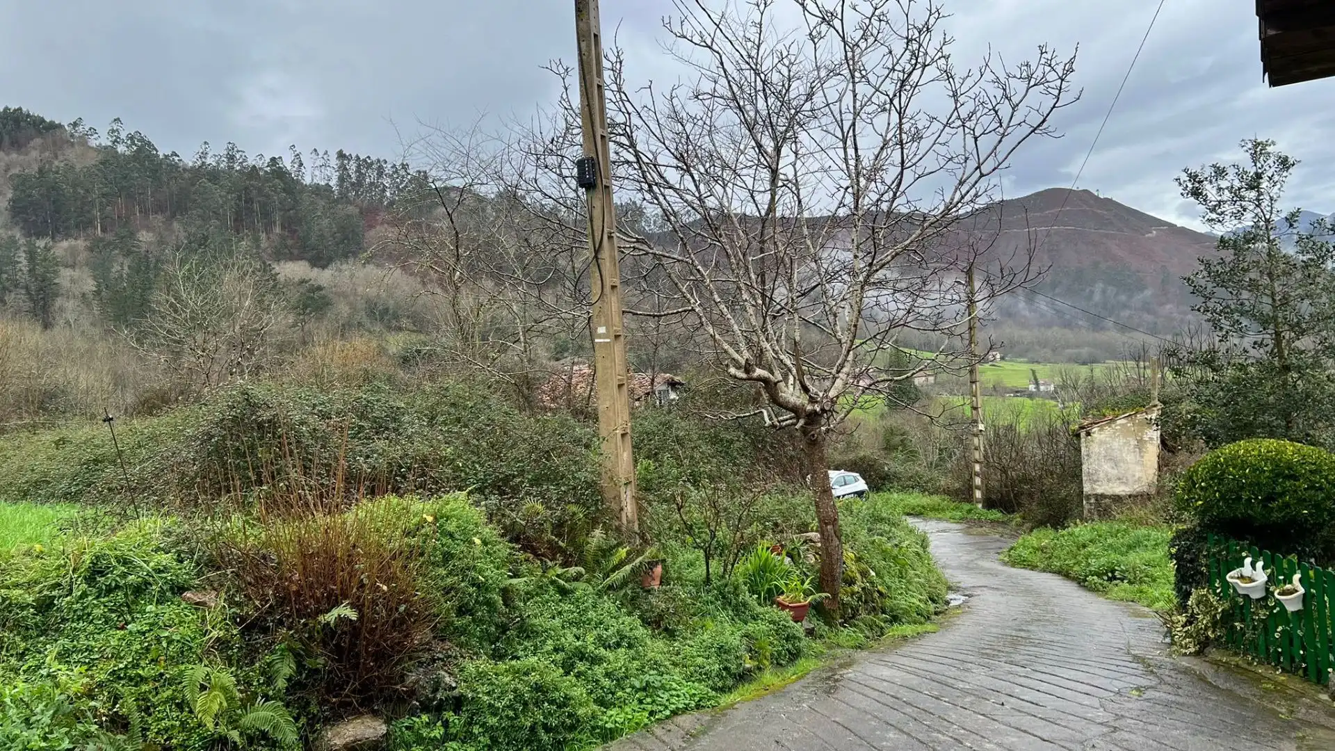 Exterior view of Houses for sale in Cangas de Onís  with Private garden