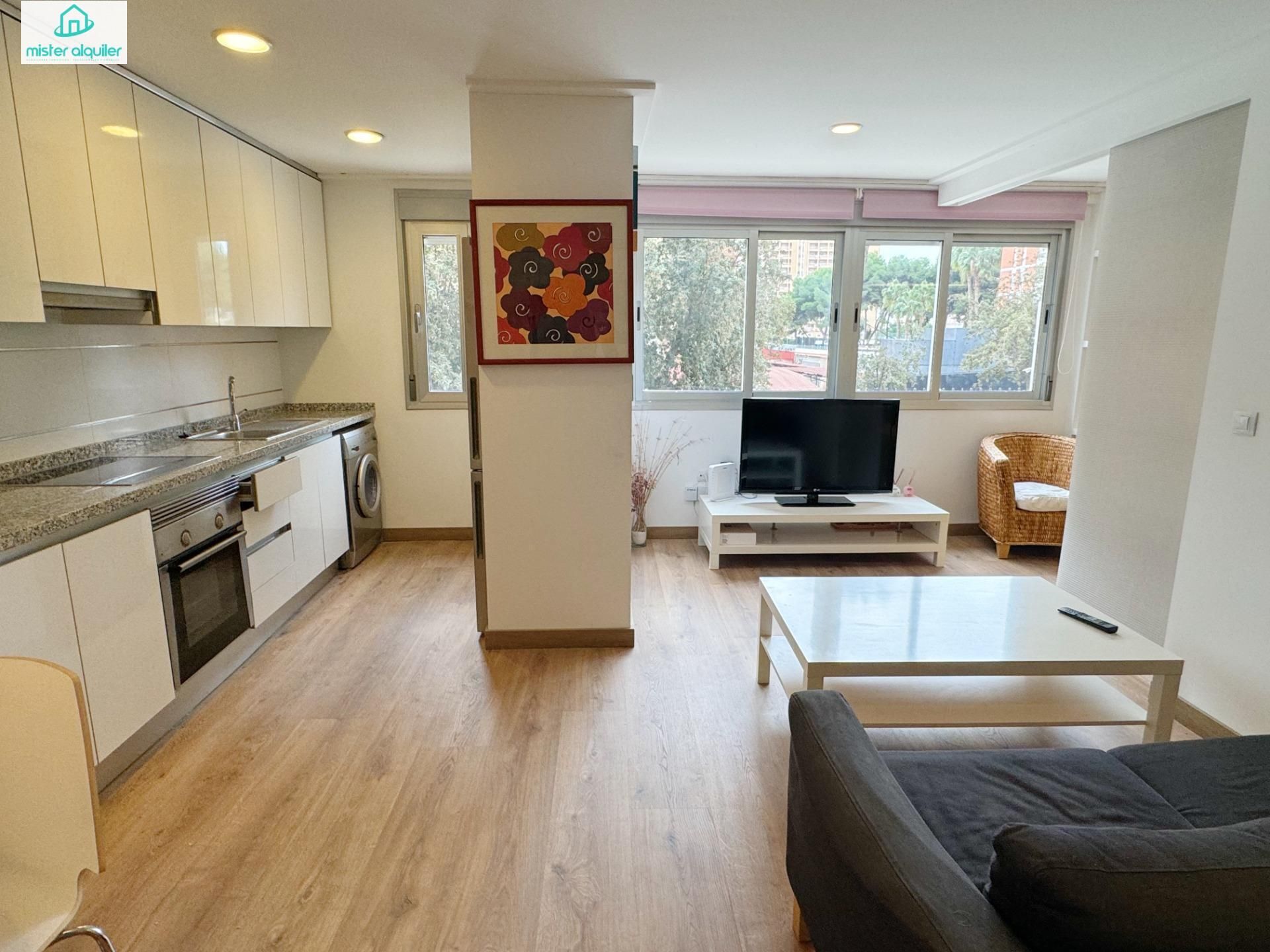 Sala d'estar de Apartament de lloguer en Alicante / Alacant amb Aire condicionat i Calefacció