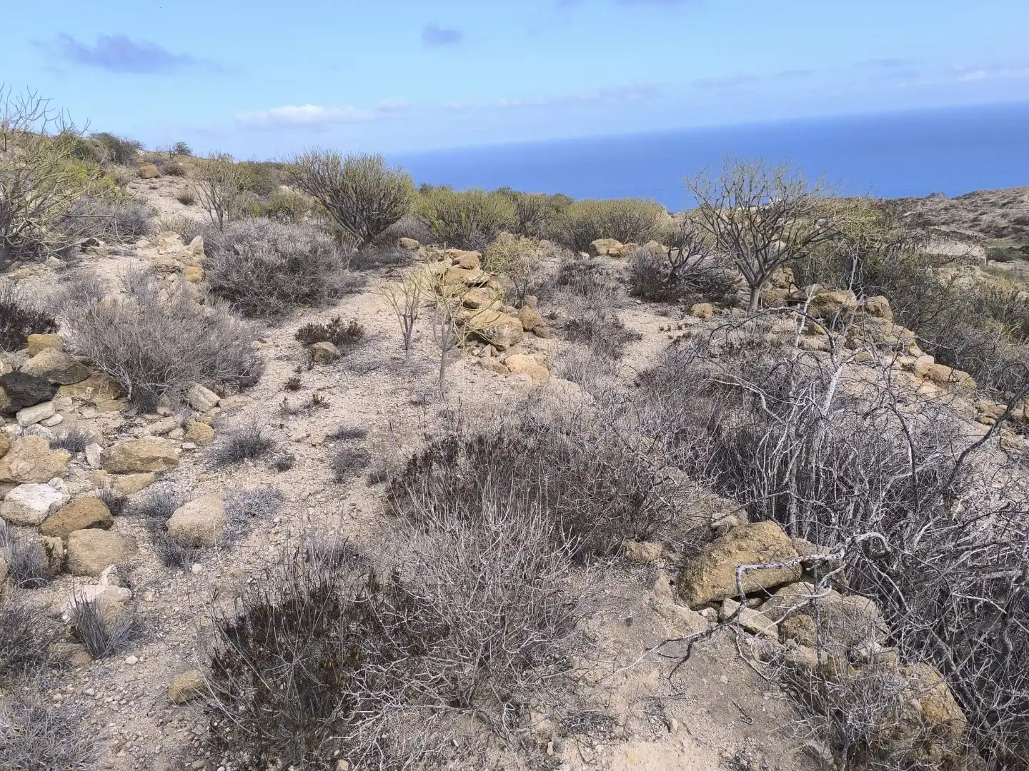 Land for sale in Fasnia