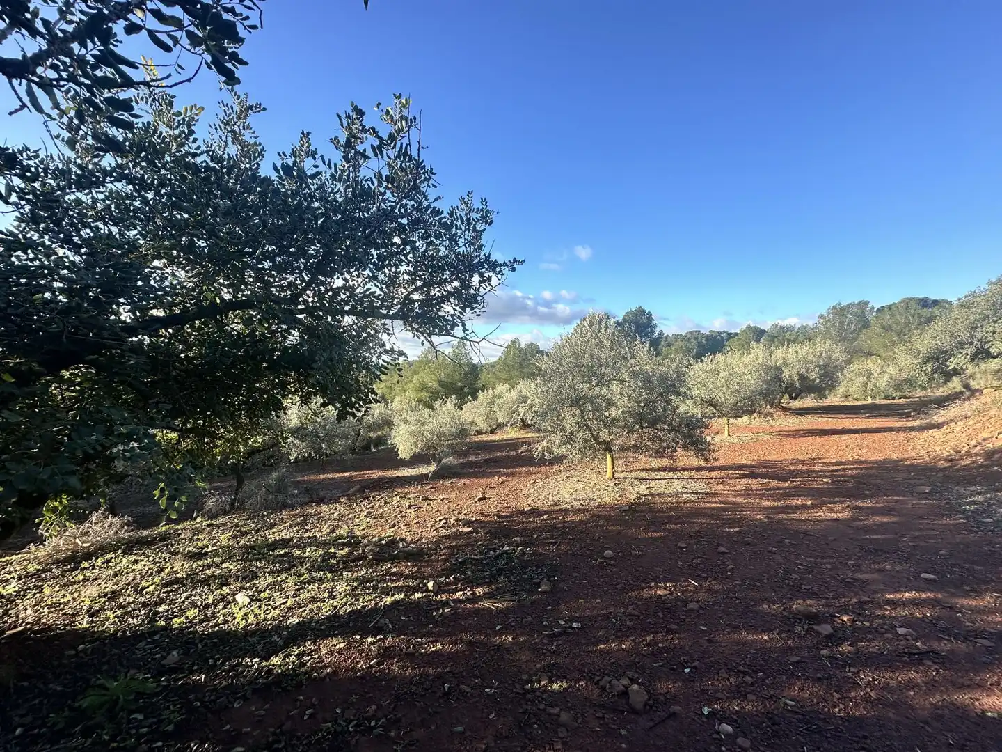Terreny residencial en venda a Soneja, imagen 9