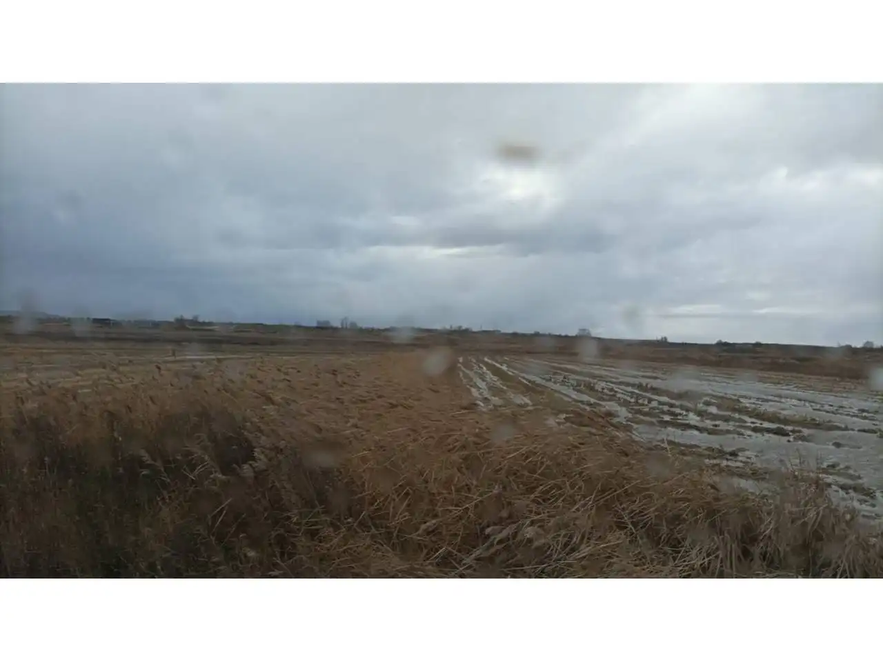 Land for sale in Alcolea de Cinca