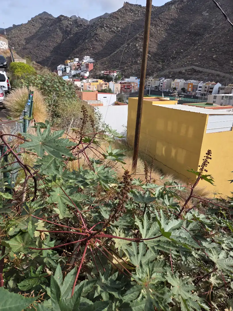 Residential land for sale in Calle Venecia