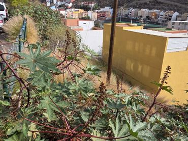 Terreny residencial en venda a Calle Venecia