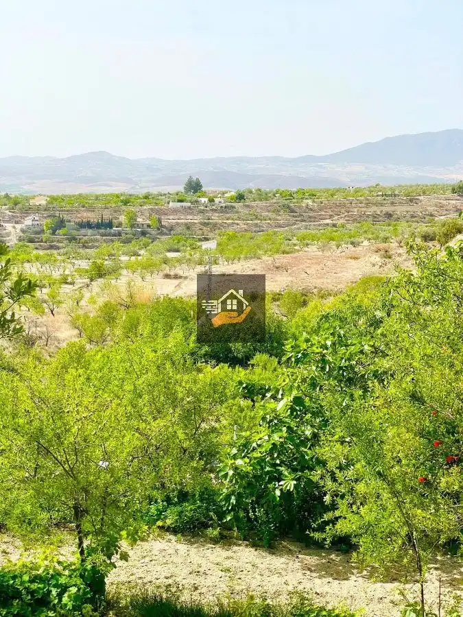Casa rústica en venta en Vélez-Blanco, imagen 13