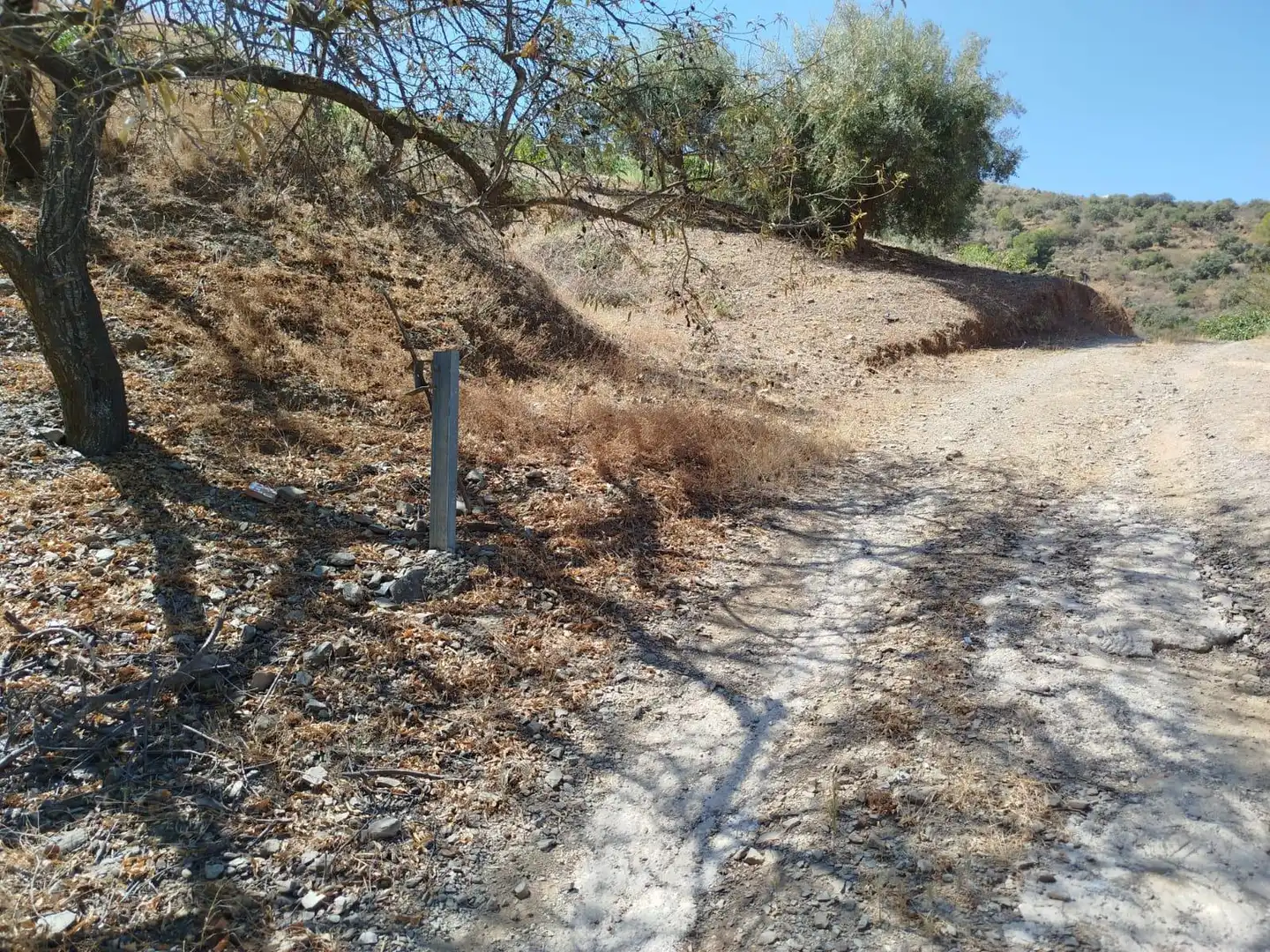 Terreni e lotti in vendita a Este, imagen 23