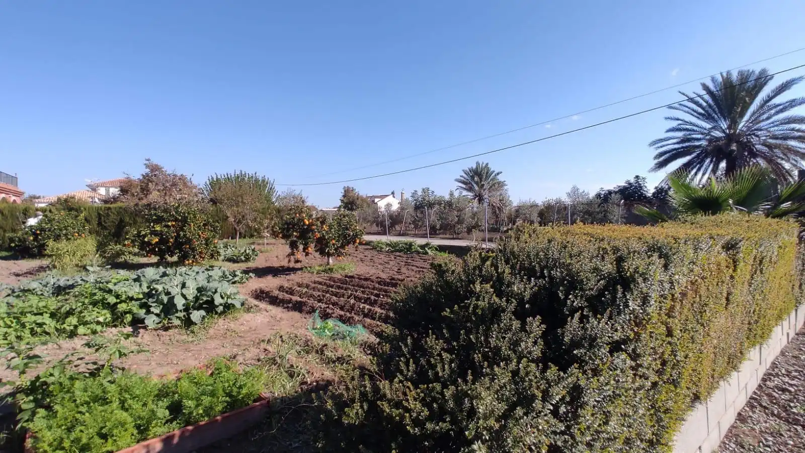 Finca rústica en venda en El Carpio amb Traster, Piscina i Moblat