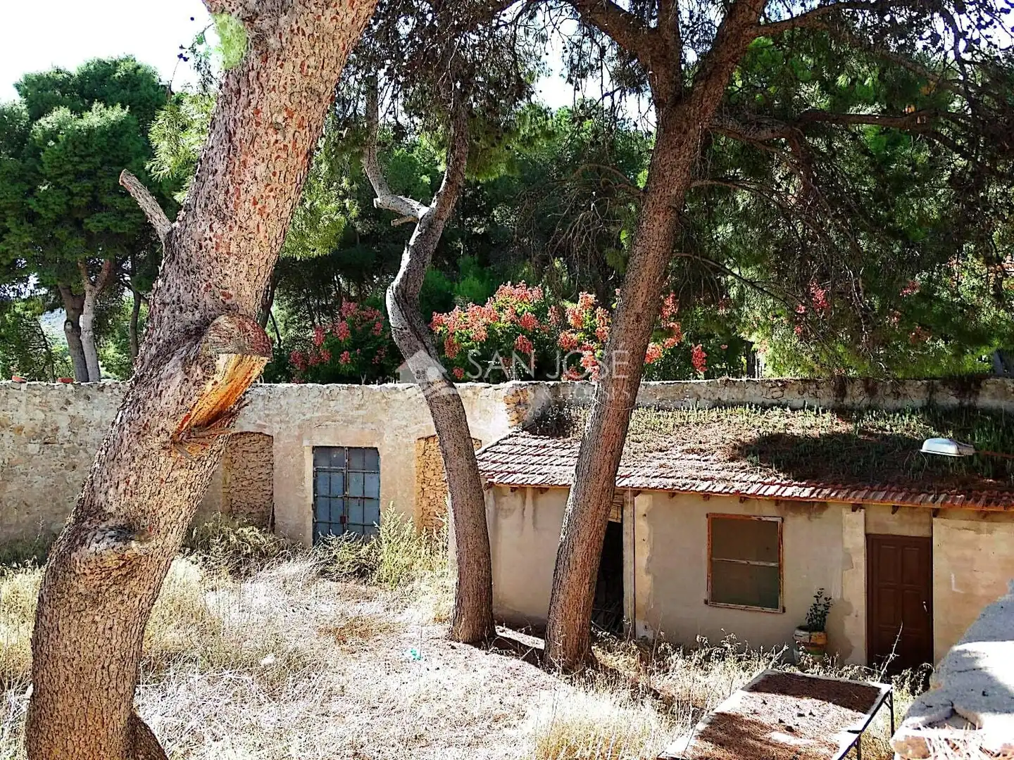 Casa o xalet en venda en La Romana amb Calefacció, Terrassa i Traster