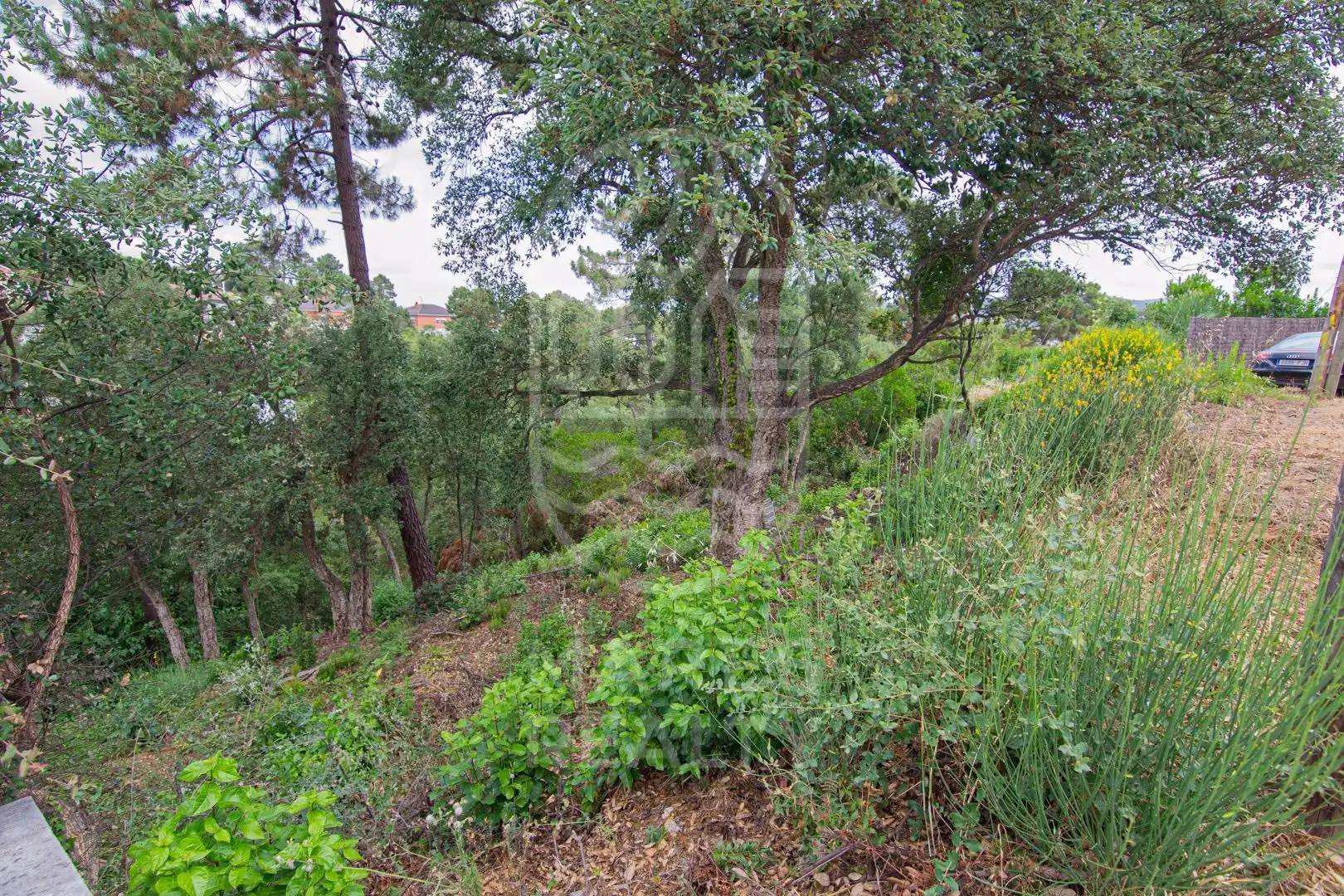 Grundstücke und Bauplätze zum Verkauf in Lloret Blau - La Creu de Lloret, imagen 4