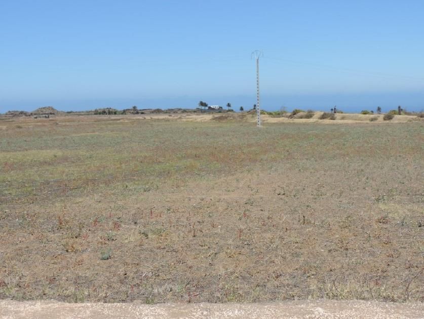 Land for sale in Yaiza