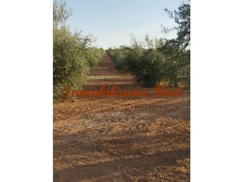 Country house zum Verkauf in Almendralejo