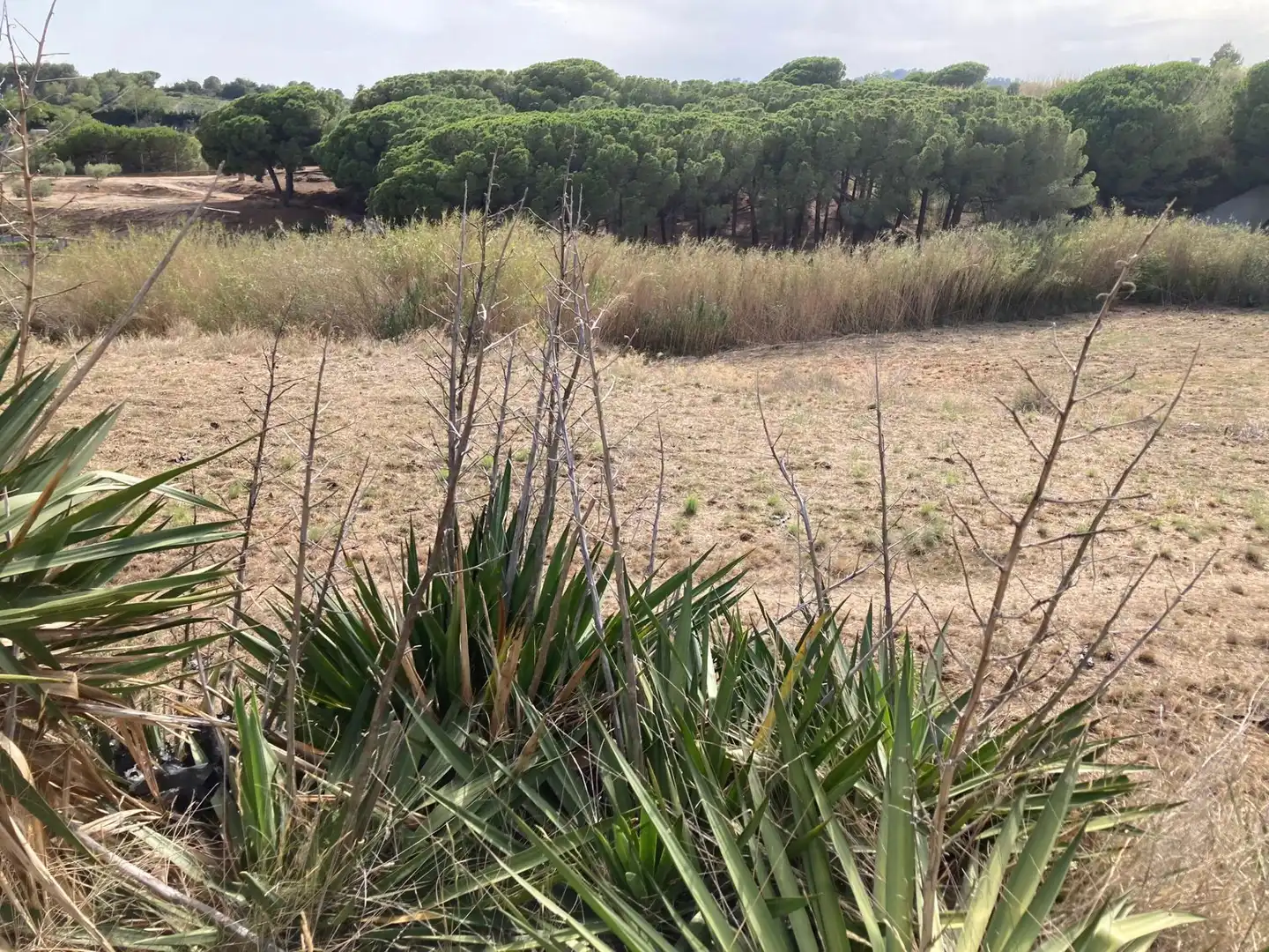 Terreno en venta en Pineda de Mar