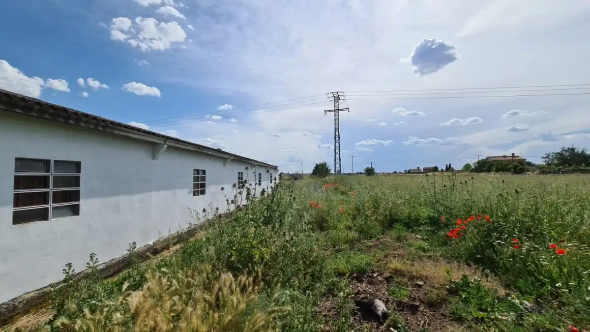 Nau industrial en venda a Morales del Vino, imagen 2