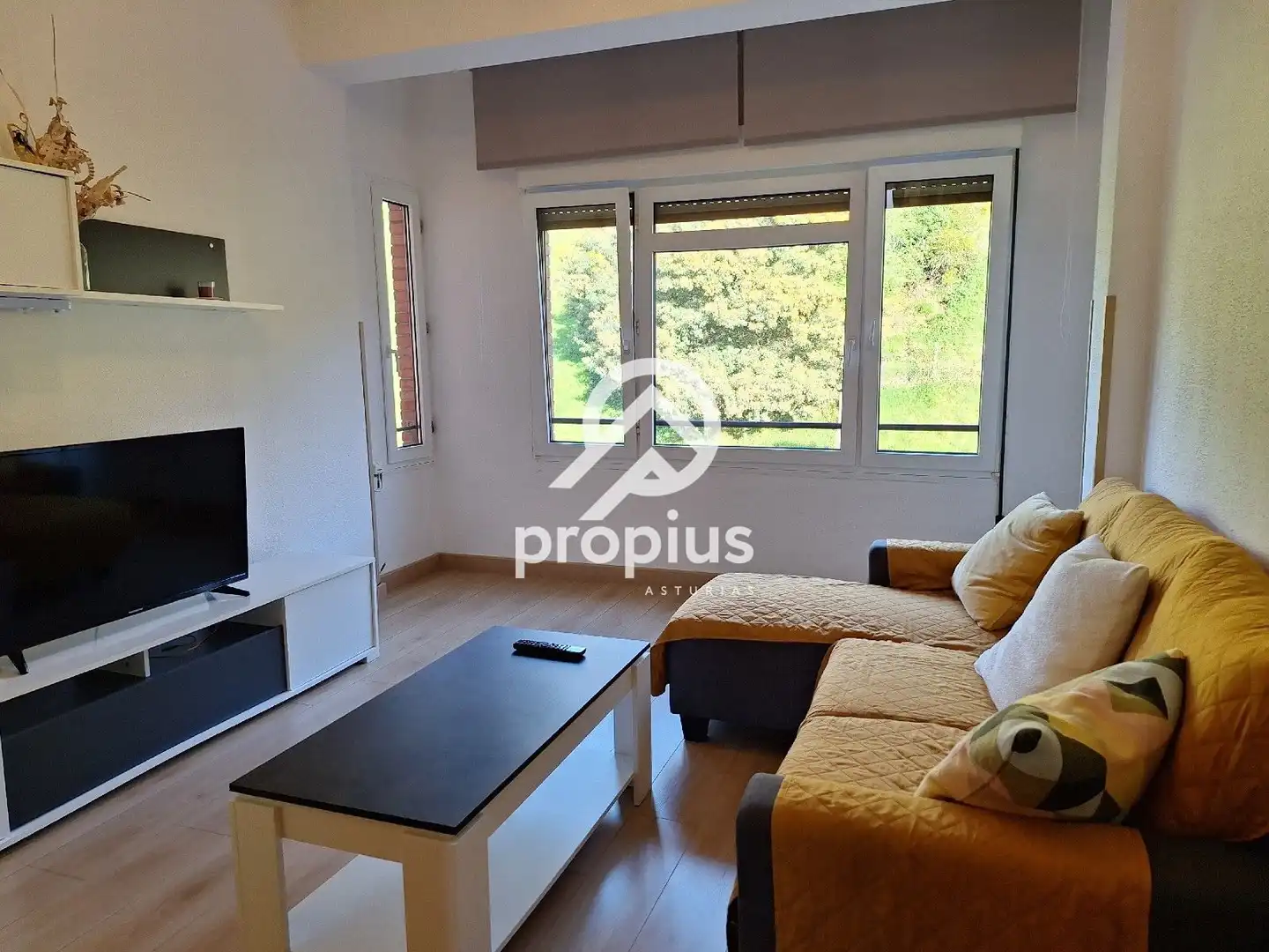 Sala de estar de Piso en venta en Cangas de Onís con Calefacción, Parquet y Trastero