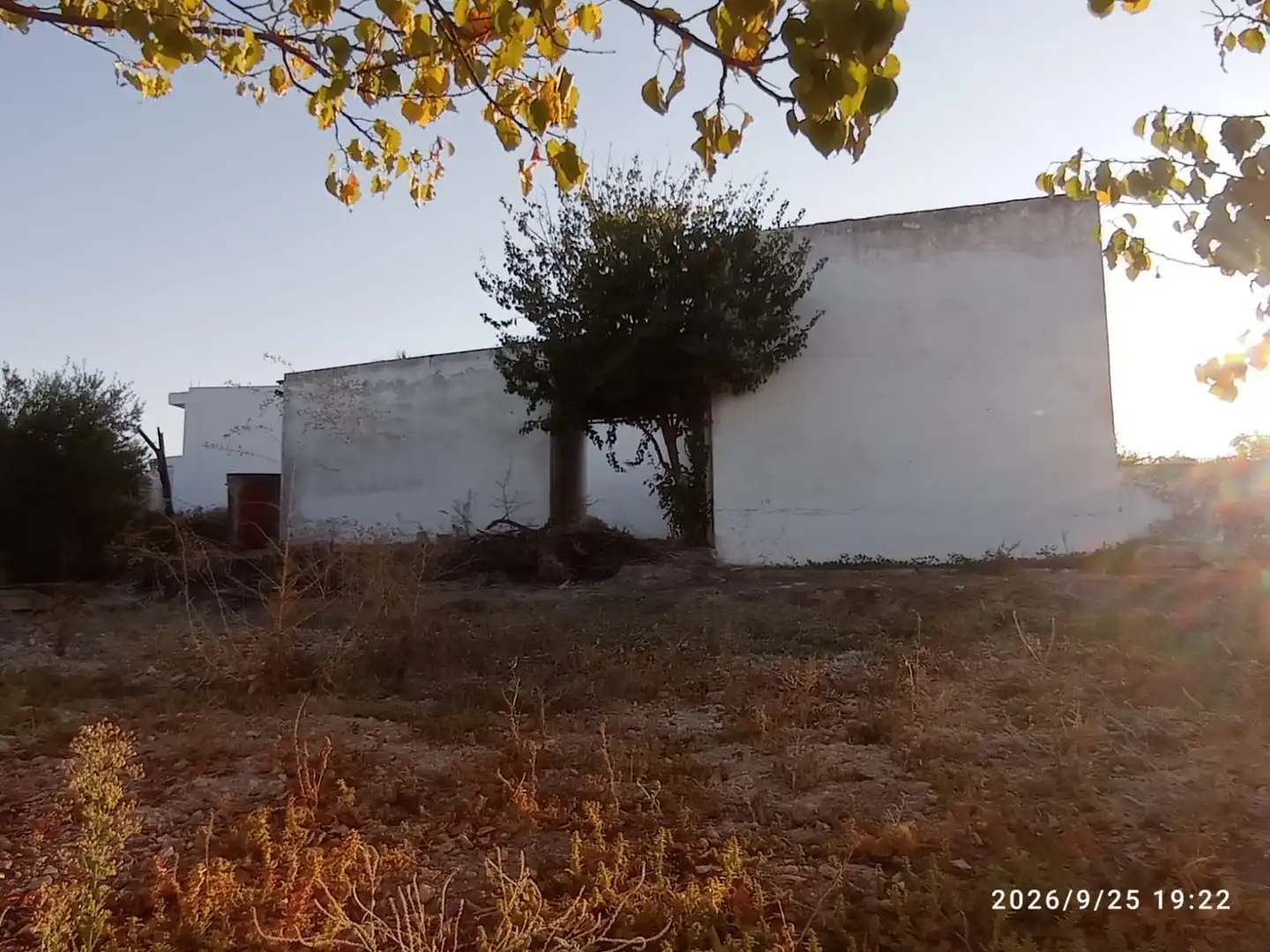 Terreno rústico en venta en El Rocío - La Milagrosa, imagen 8