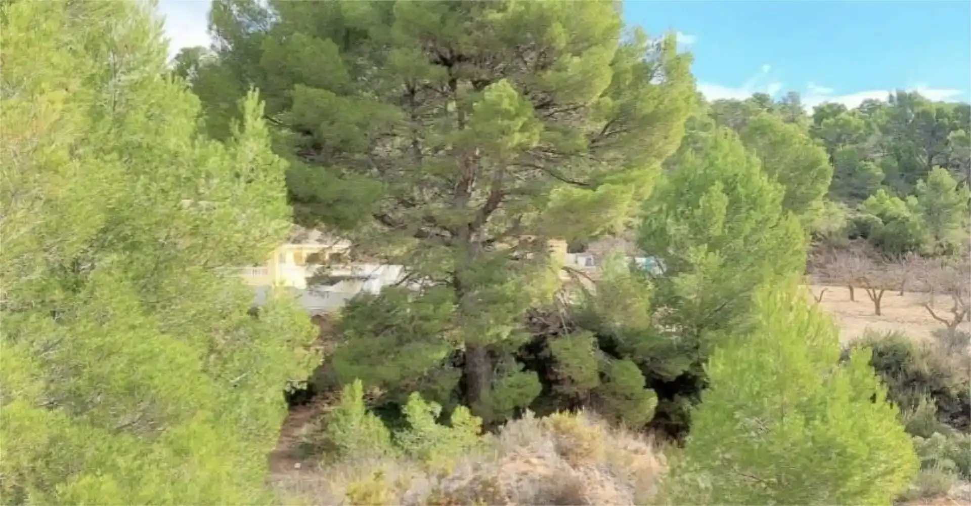 Finca rústica en venta en Villena con Piscina y Balcón