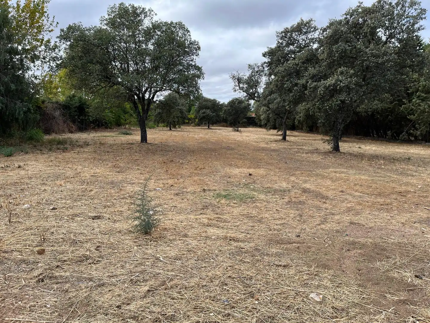 Residencial en venta en San Román de los Montes
