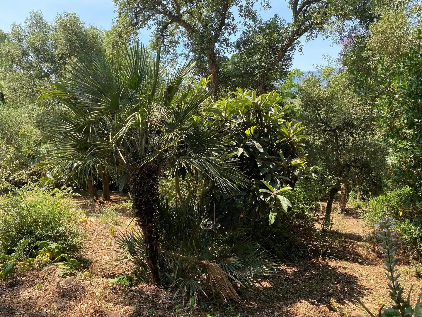 Casa o xalet en venda en Los Barrios amb Jardí privat, Terrassa i Traster