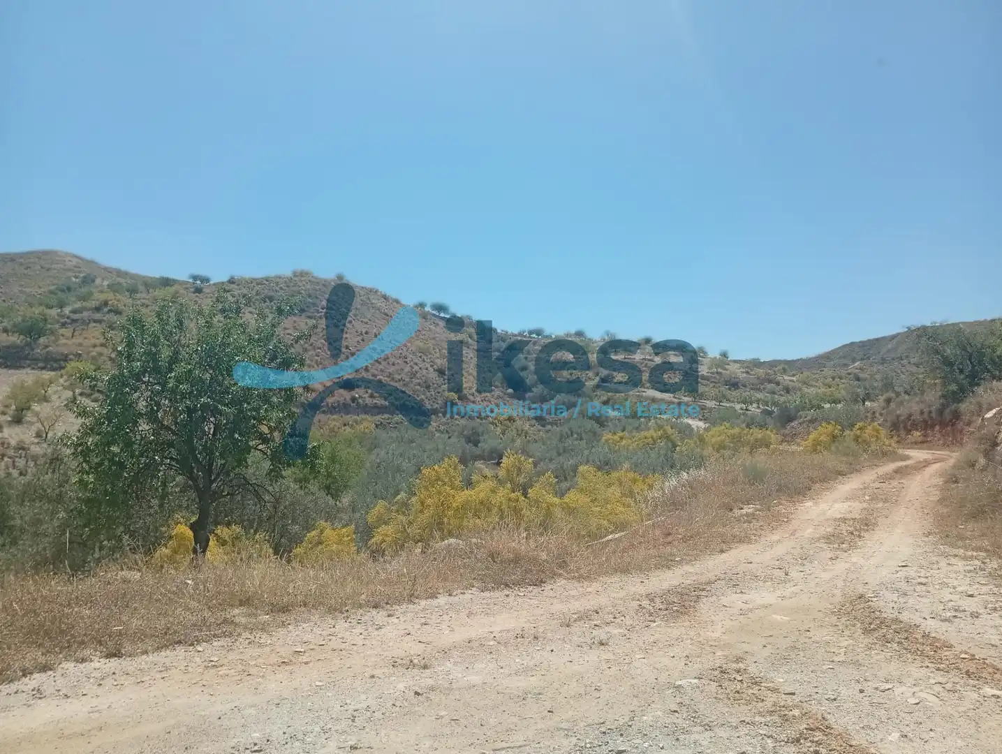 Lands and plots for sale in Cantoria, imagen 7