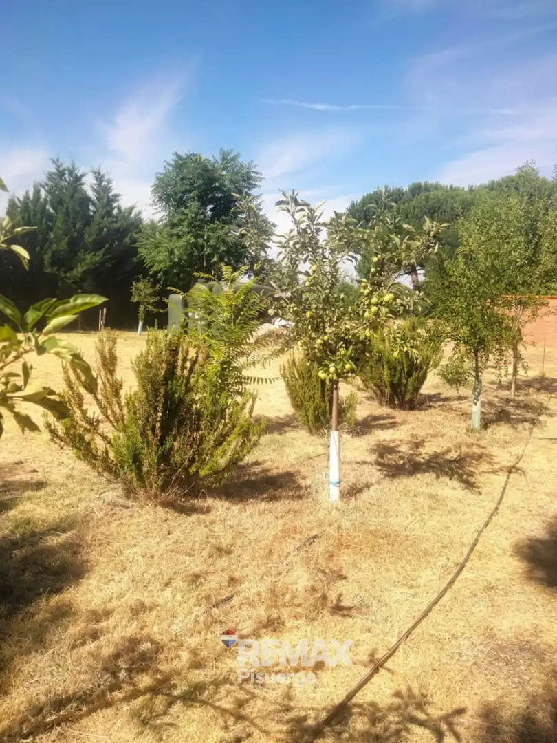 Terreni e lotti in vendita a Lugar Comun Viejo 2, imagen 17