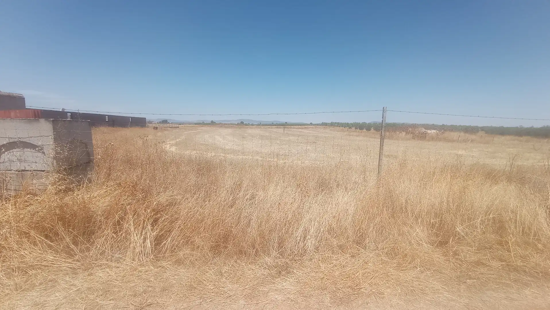 Terreno rústico en venta en Carrión de Calatrava, imagen 14