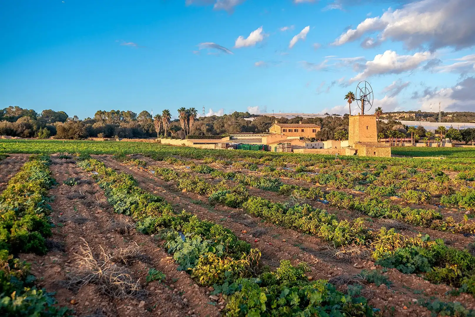 Jardín de Finca rústica en venta en  Palma de Mallorca con Calefacción, Jardín privado y Terraza
