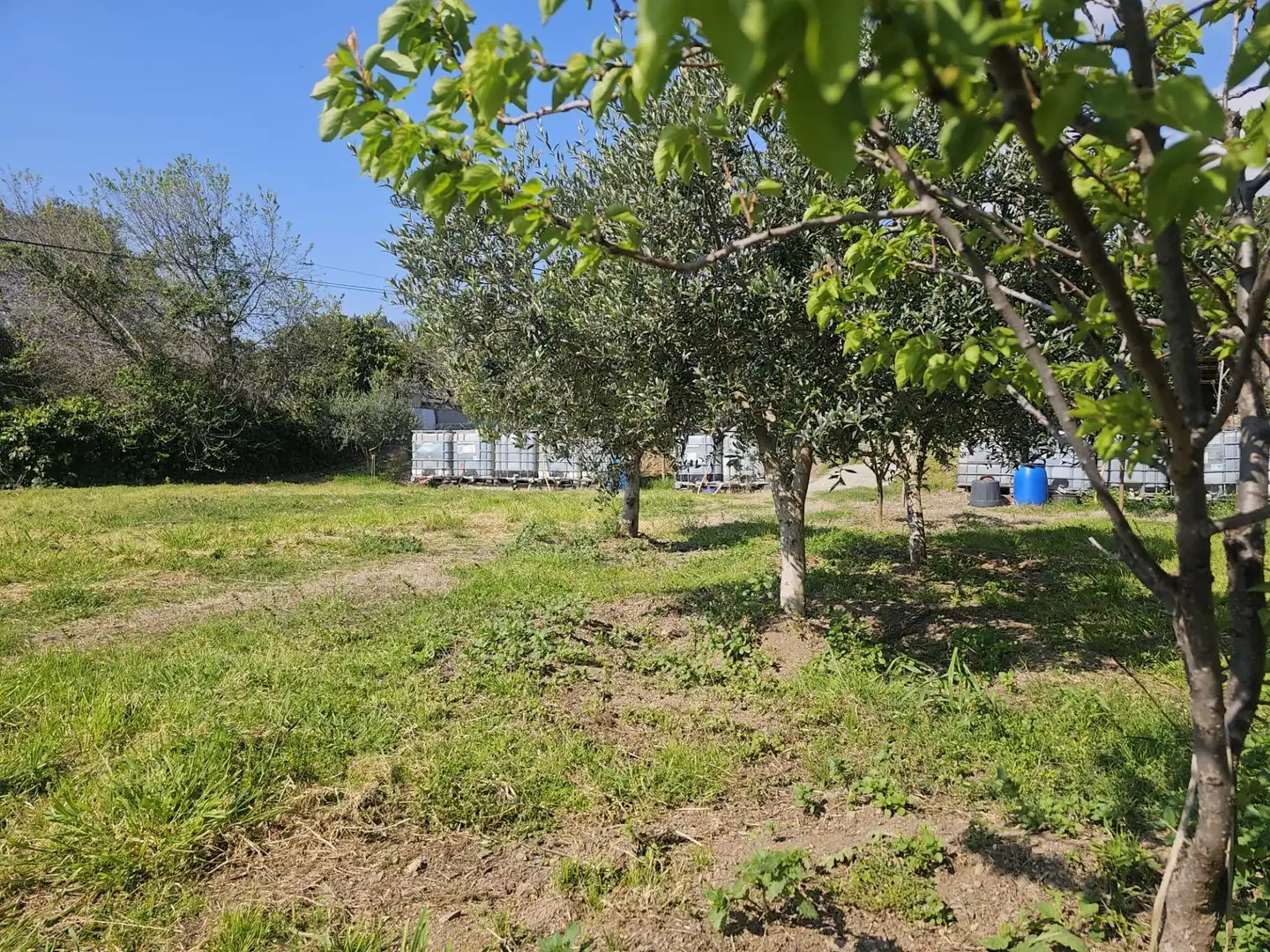 Casa o chalet en venta en Esparreguera con Jardín privado, Terraza y Piscina
