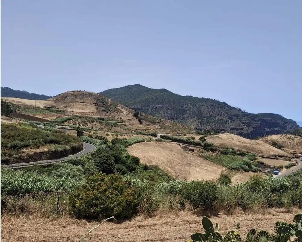 Vista exterior de Finca rústica en venta en Gáldar con Trastero