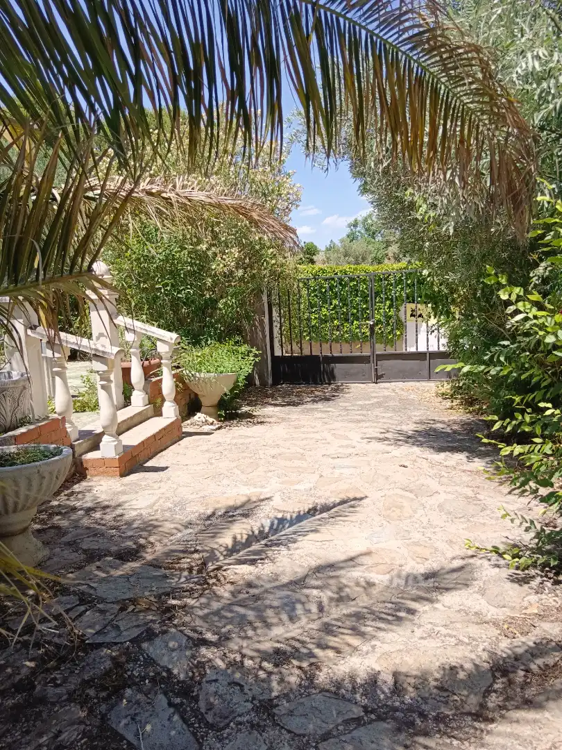 Jardí de Casa o xalet en venda en Illana amb Jardí privat, Terrassa i Piscina