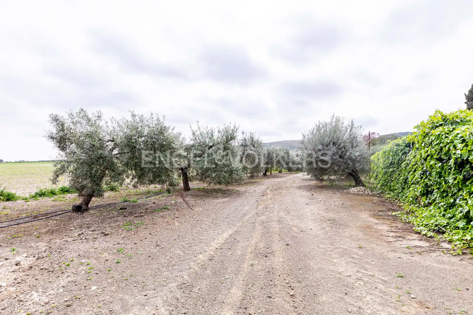 Casa o chalet en venta en La Puebla de Cazalla con Calefacción, Jardín privado y Terraza