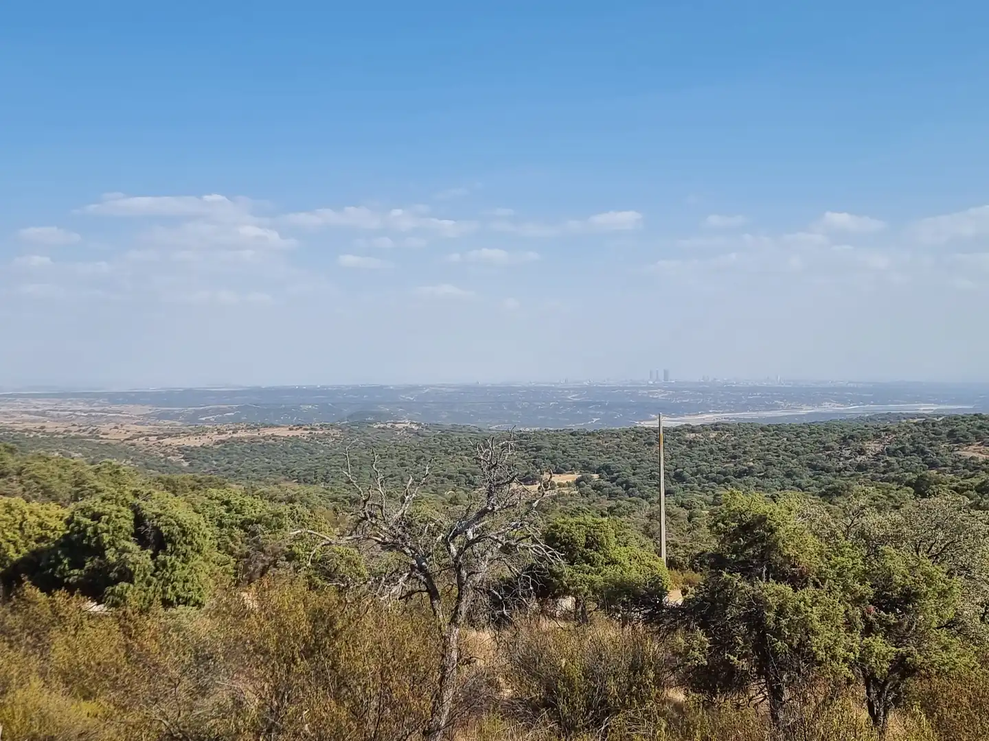 Land for sale in Colmenar Viejo