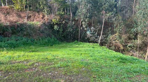 Foto 4 de Finca rústica en venda a Silvalonga, San Sadurniño, A Coruña