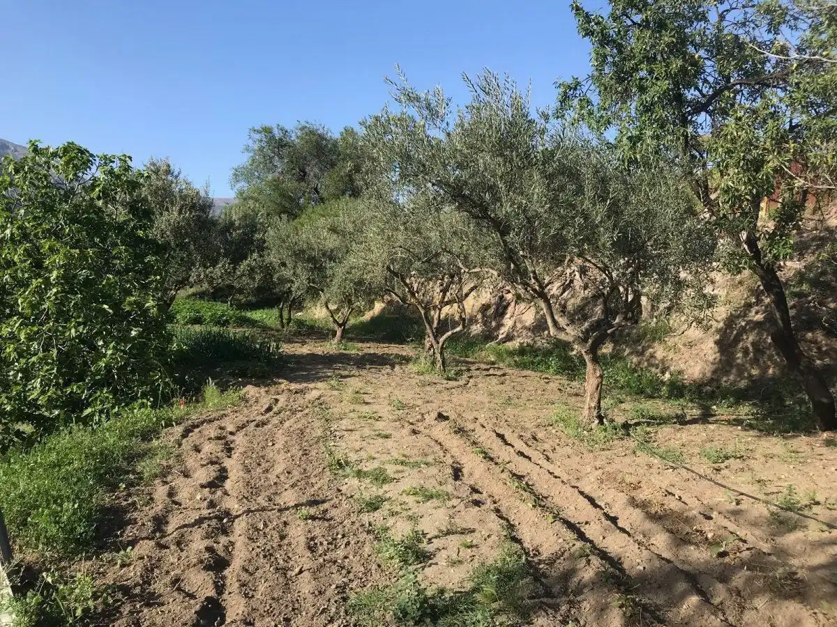 Casa o xalet en venda en Álora amb Calefacció, Terrassa i Traster