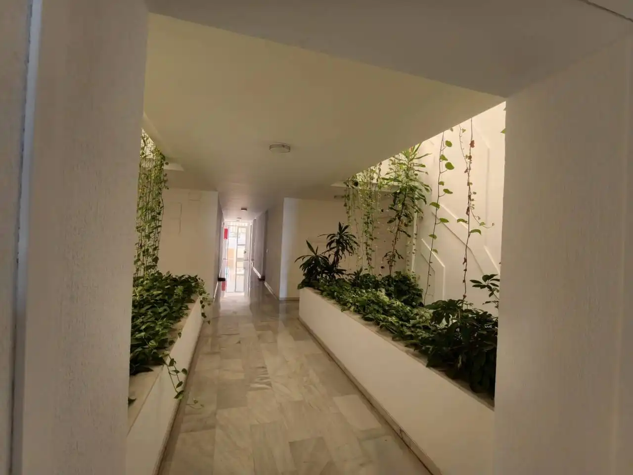 Apartament en venda en Montemar 