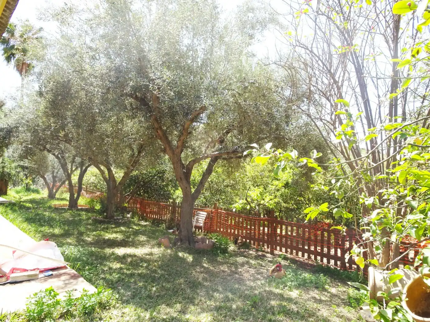 Casa con giardino in vendita a Puerto de la Torre - Atabal, imagen 42
