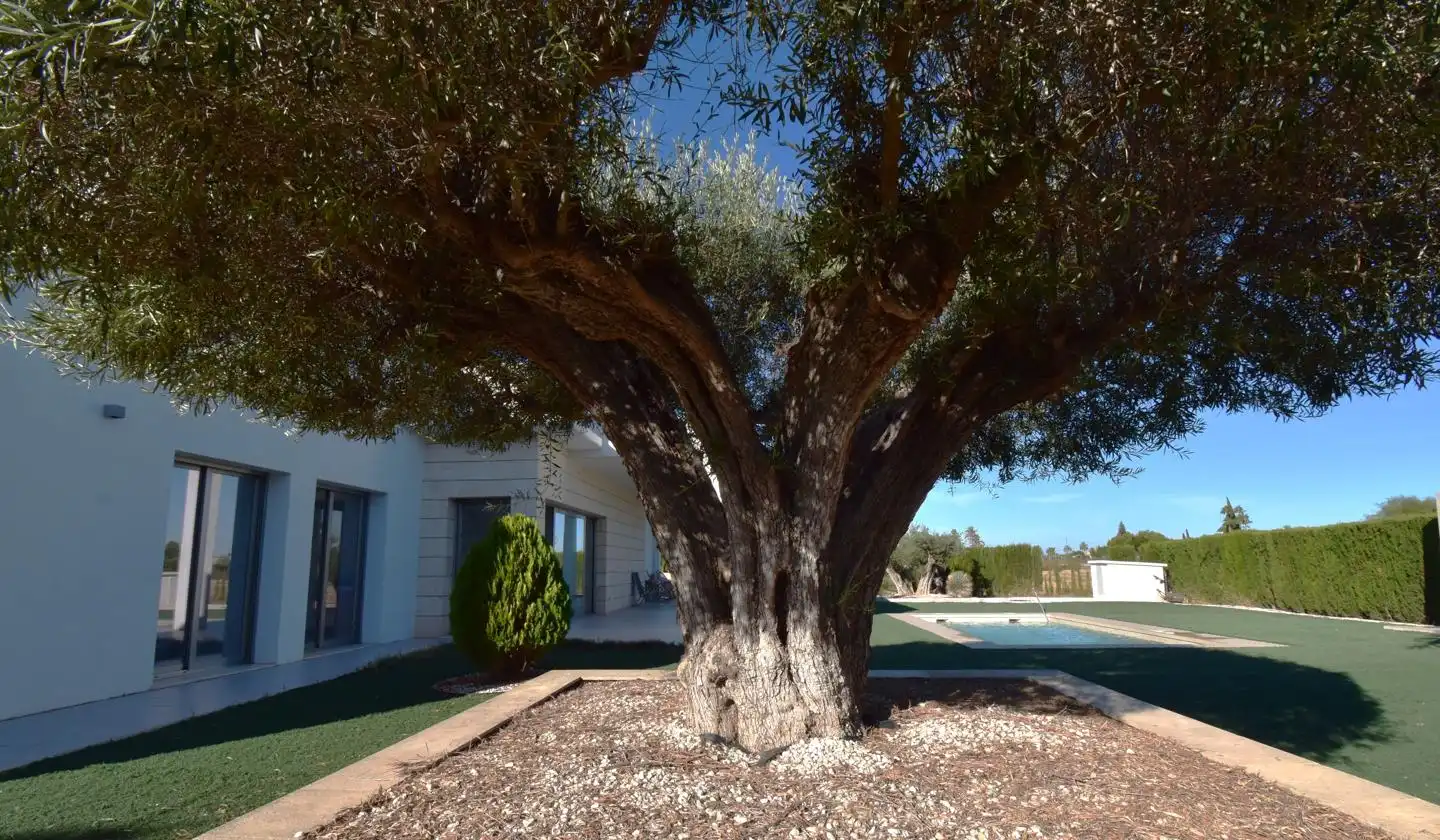 House with pool for sale in PD.Baya Baja, imagen 74