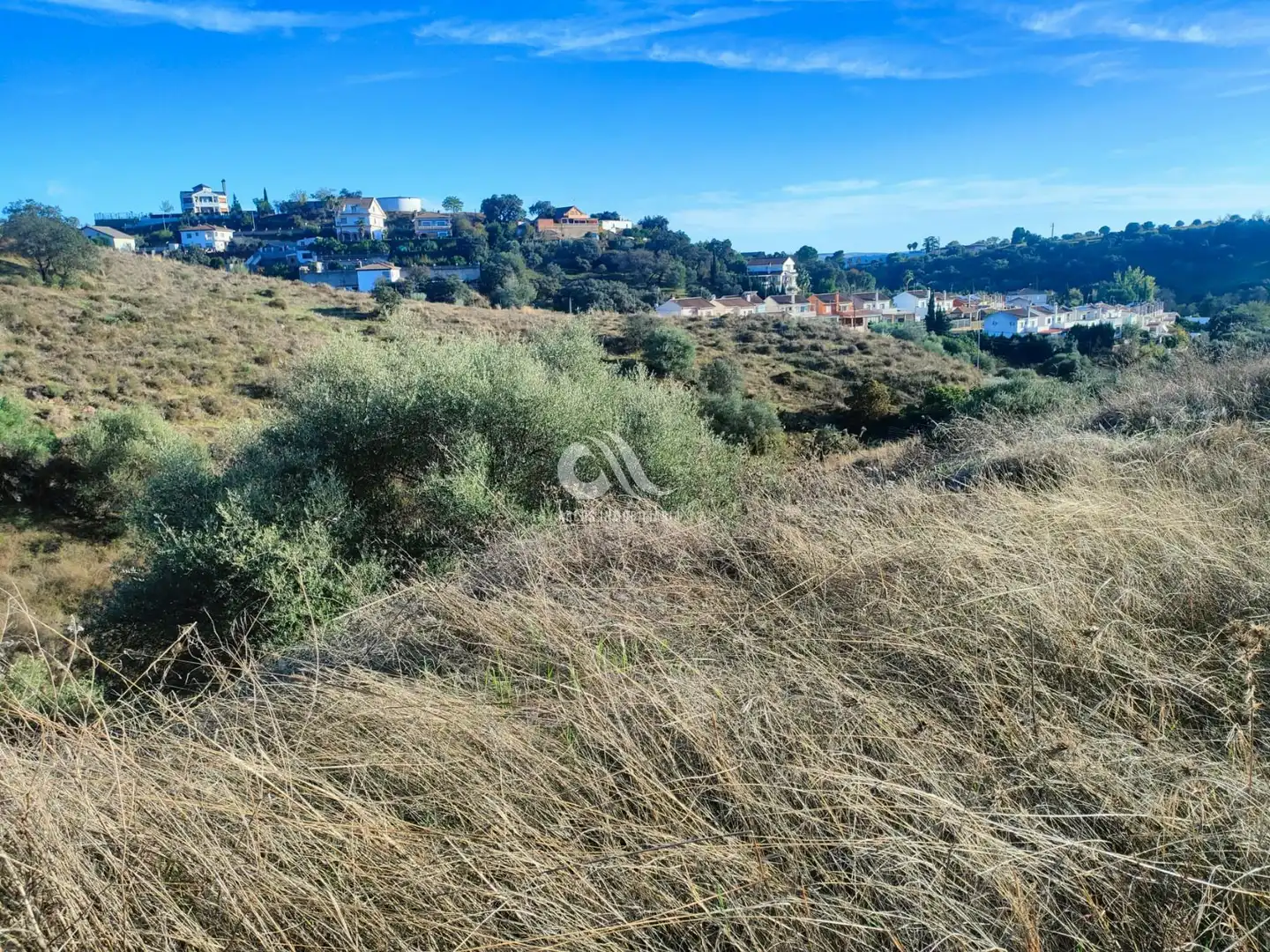 Residencial de alquiler en Alcolea