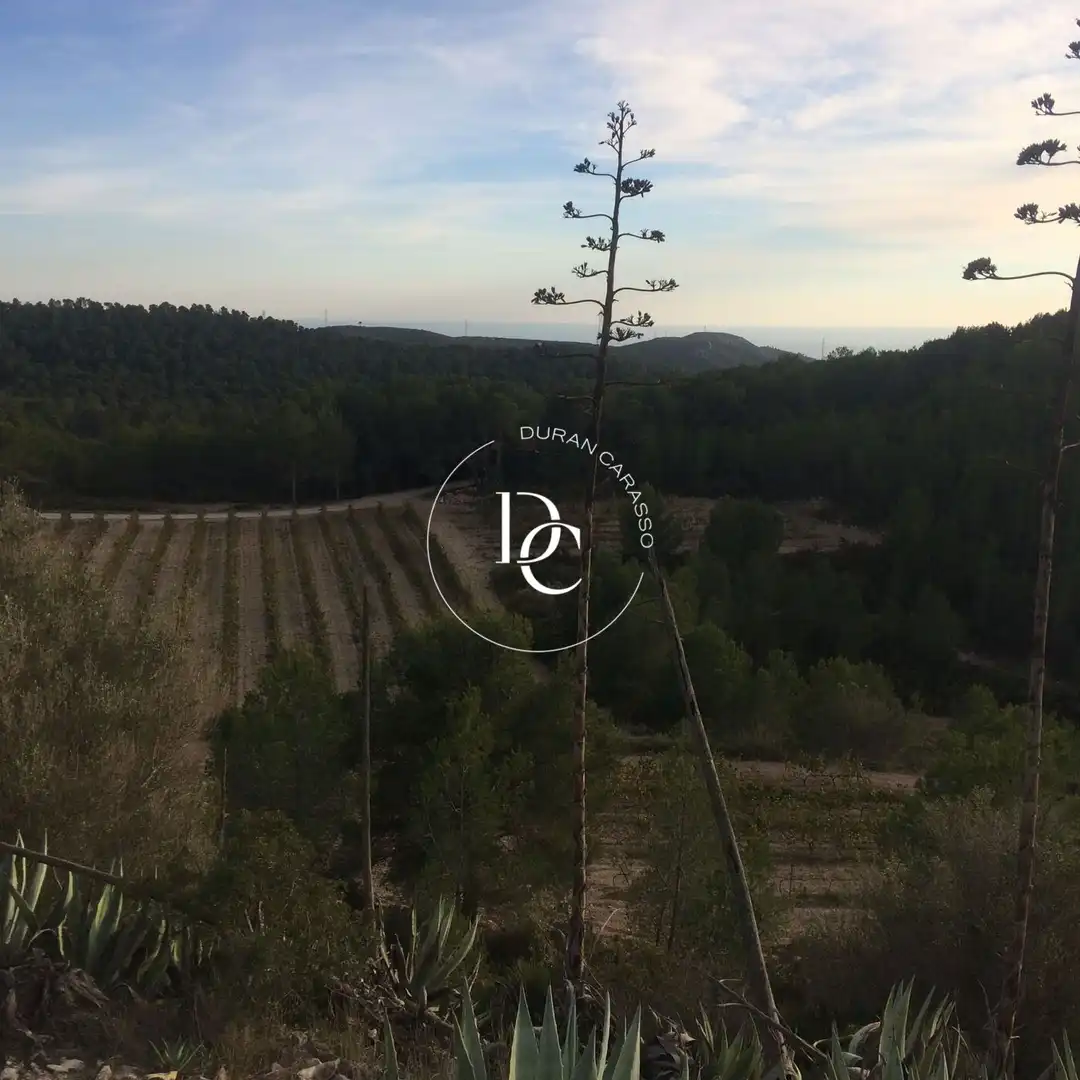 Casa rustica in vendita a Castellet i la Gornal, imagen 9