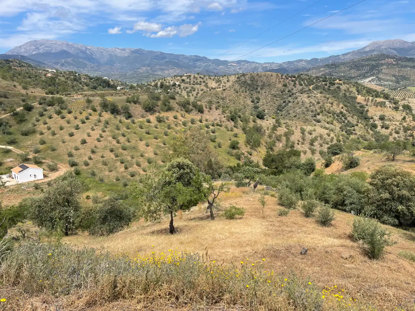 Terreno en venta en Guaro