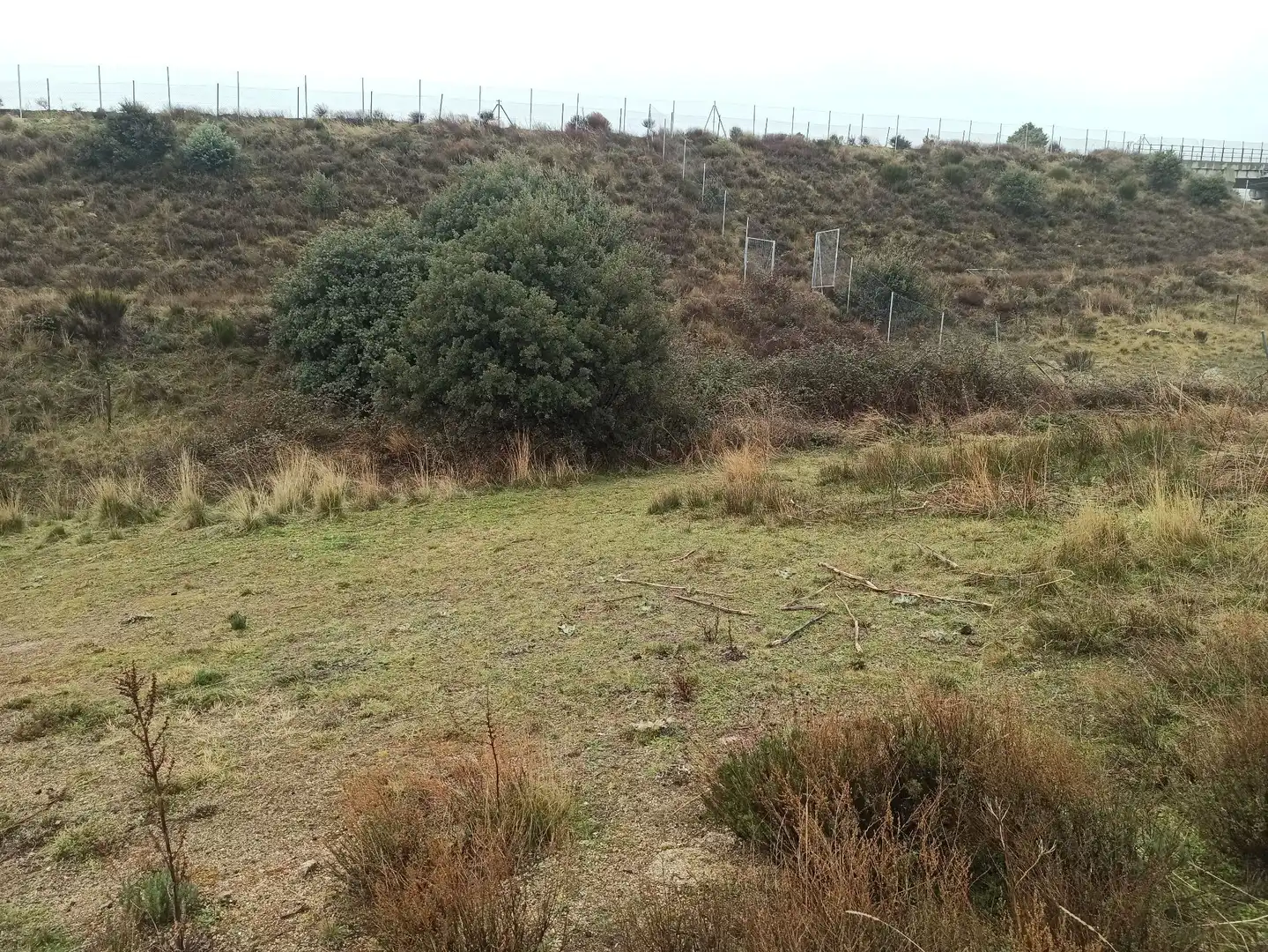 Terreno rustico in vendita a Zarzalejo, imagen 25
