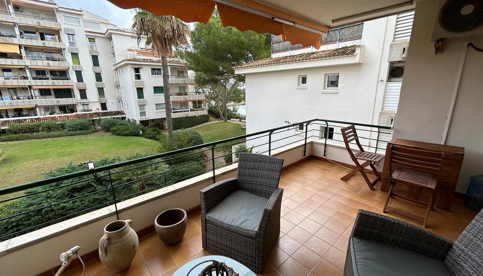 Photo 1 of Apartment to rent in Portals Nous, Illes Balears