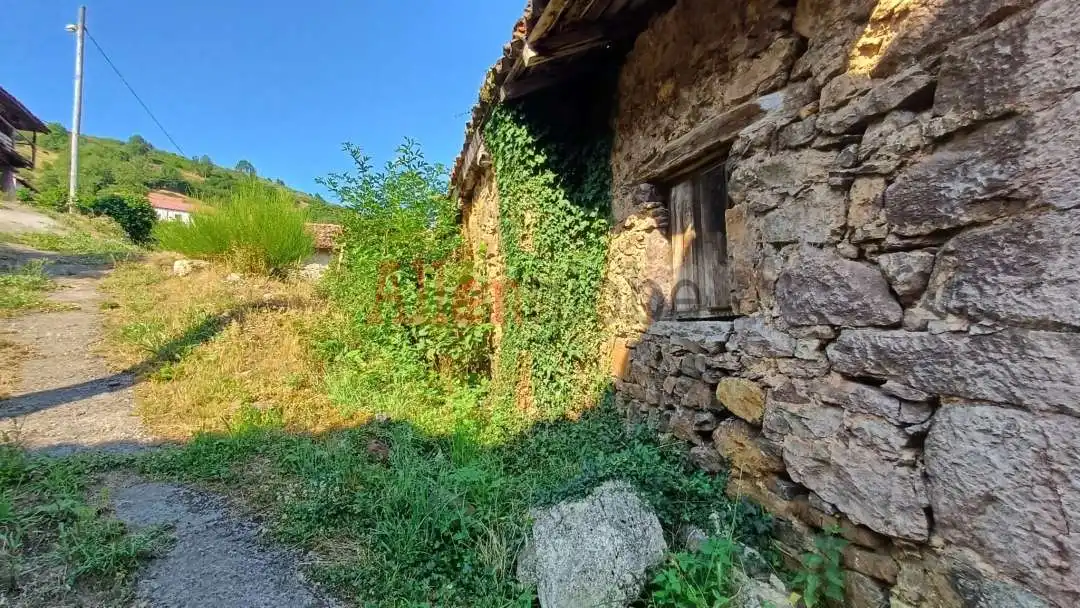 House with garden for sale in Taja, imagen 44