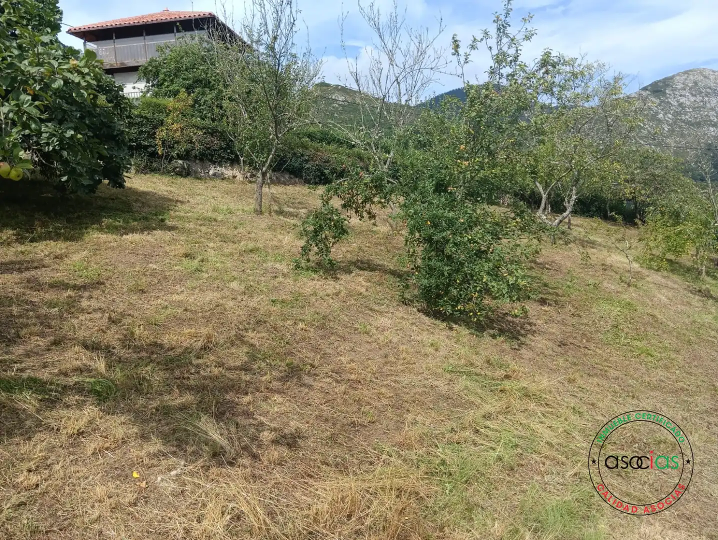 Terreni e lotti in vendita a Careses - Aldea Ordiales, imagen 11