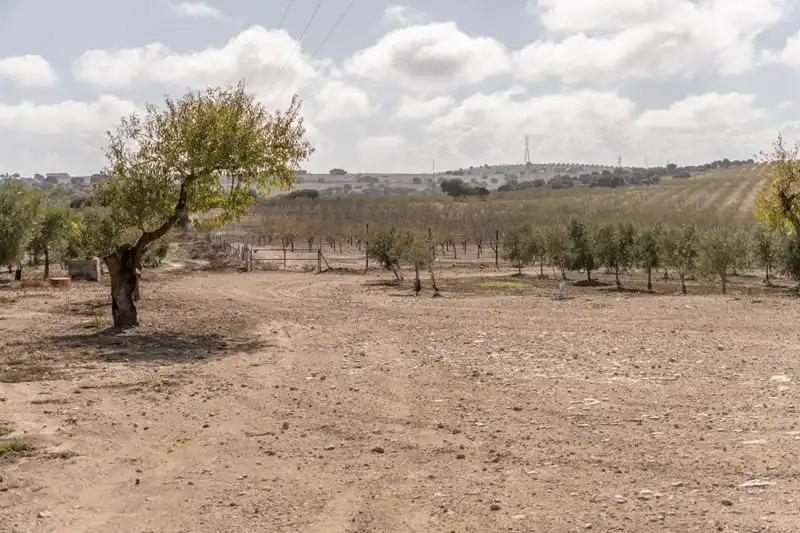 Land for sale in Alamedilla